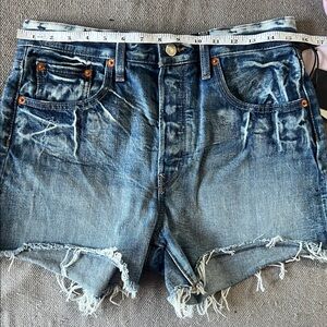 Re/Done Faded Blue Distressed Denim Cutoff Shorts